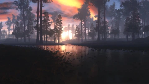 The Forest Live Wallpaper - Free Live Wallpaper