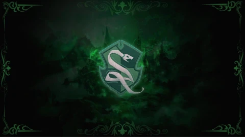 Harry Pother Hogwarts Legacy Serpentard Slytherin - Free Live Wallpaper