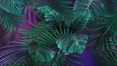 Banana Leaf Wallpaper - Free Live Wallpaper
