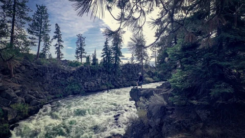 Dillon Falls Oregon HD Live Wallpaper - Free Live Wallpaper