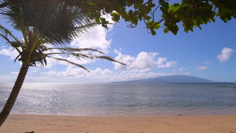 Molokai Breeze HD Live Wallpaper - Free Live Wallpaper