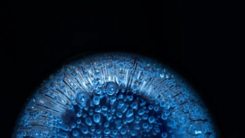 Dragon Blue Eyes - Free Live Wallpaper